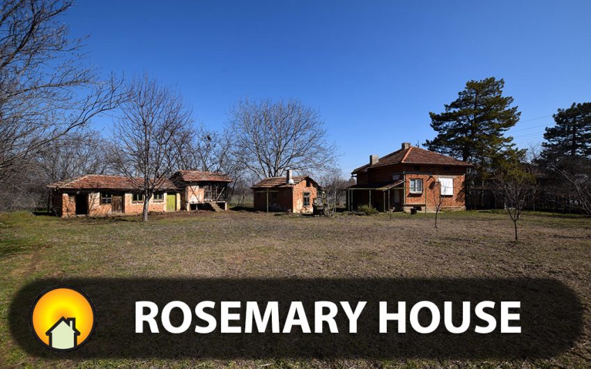 CHARMING 1-STOREY HOME: COSY LIVING WITH FURNISHED KITCHEN, SHOWER ROOM, AND TOILET